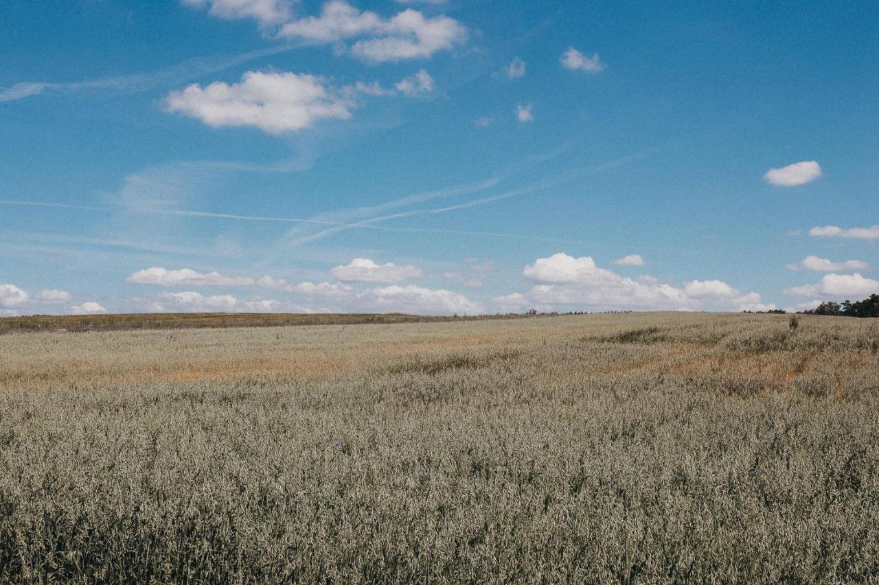 Agroturystyka Pod Debem Lagow (Swiebodzin) Exterior foto